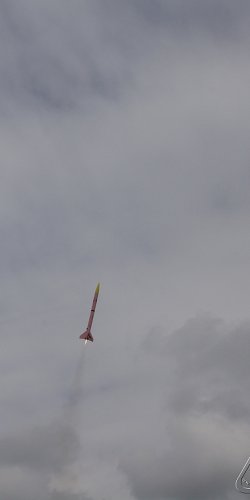 2013 Svojek Mirek Topinka